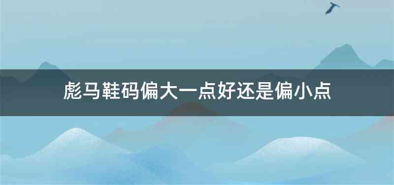 彪马鞋码偏大一点好还是偏小点