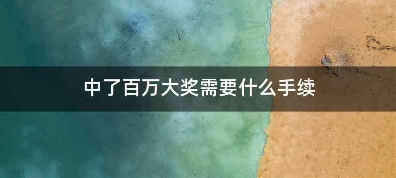 中了百万大奖需要什么手续