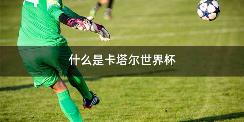 什么是卡塔尔世界杯