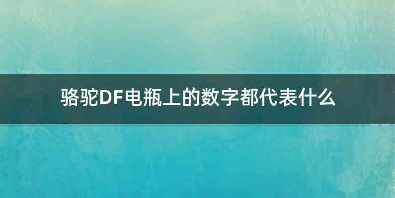 骆驼DF电瓶上的数字都代表什么
