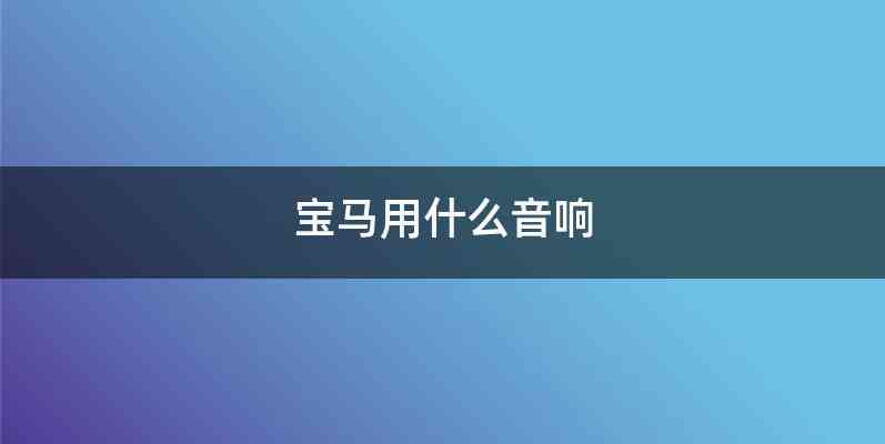宝马用什么音响