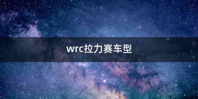 wrc拉力赛车型