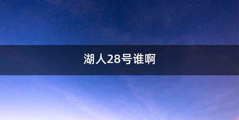湖人28号谁啊