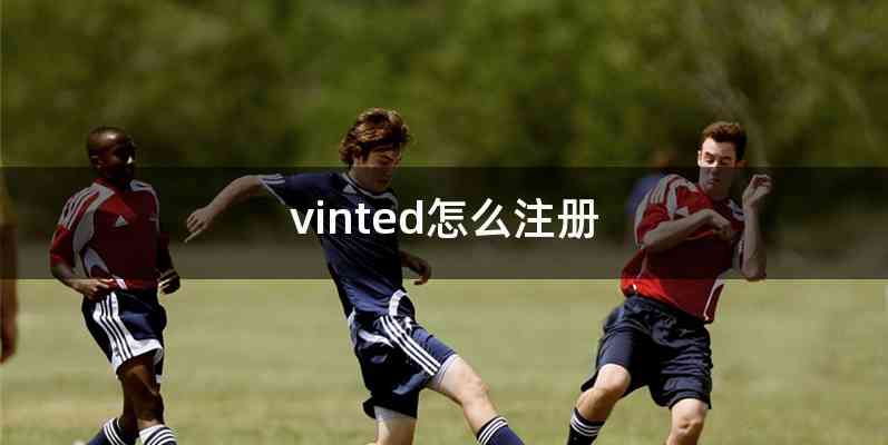 vinted怎么注册
