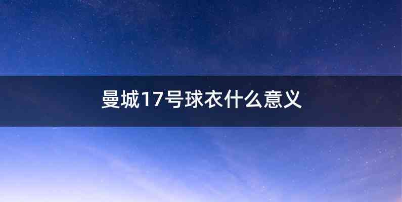 曼城17号球衣什么意义