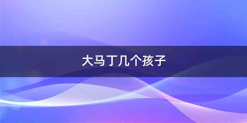 大马丁几个孩子