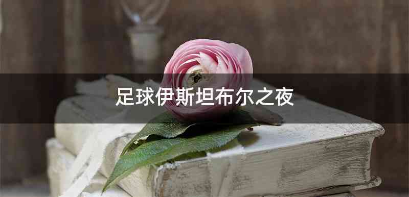 足球伊斯坦布尔之夜