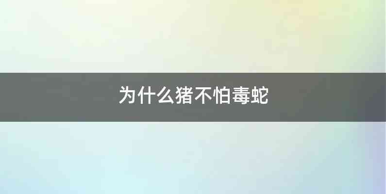 为什么猪不怕毒蛇