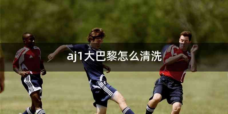 aj1大巴黎怎么清洗