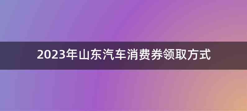2023年山东汽车消费券领取方式
