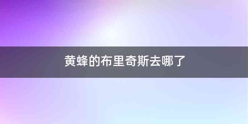 黄蜂的布里奇斯去哪了