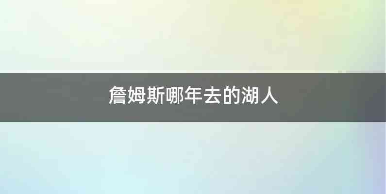 詹姆斯哪年去的湖人