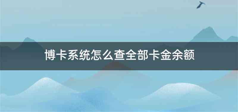 博卡系统怎么查全部卡金余额