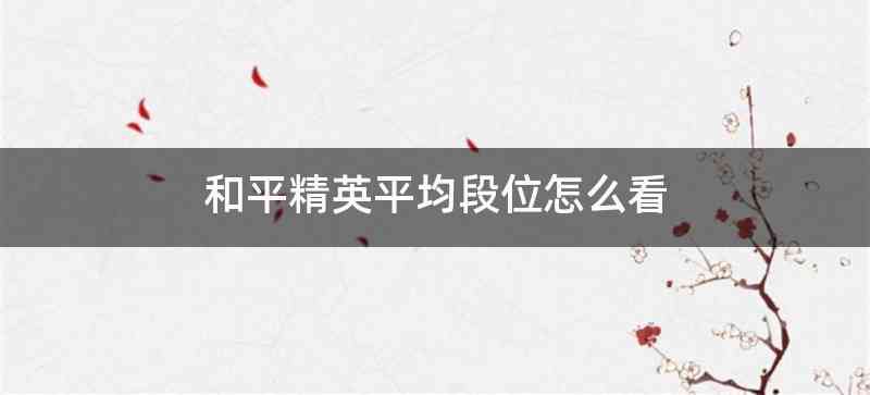 和平精英平均段位怎么看