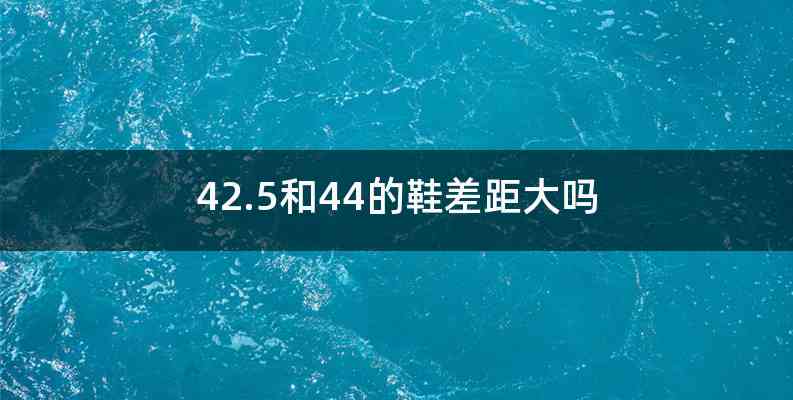 42.5和44的鞋差距大吗