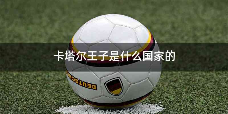 卡塔尔王子是什么国家的