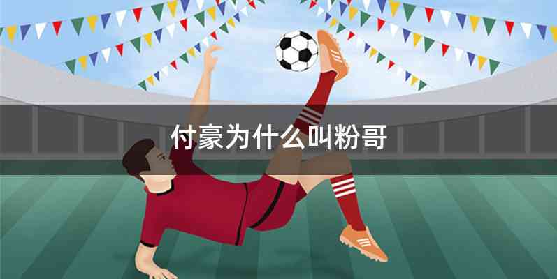 付豪为什么叫粉哥