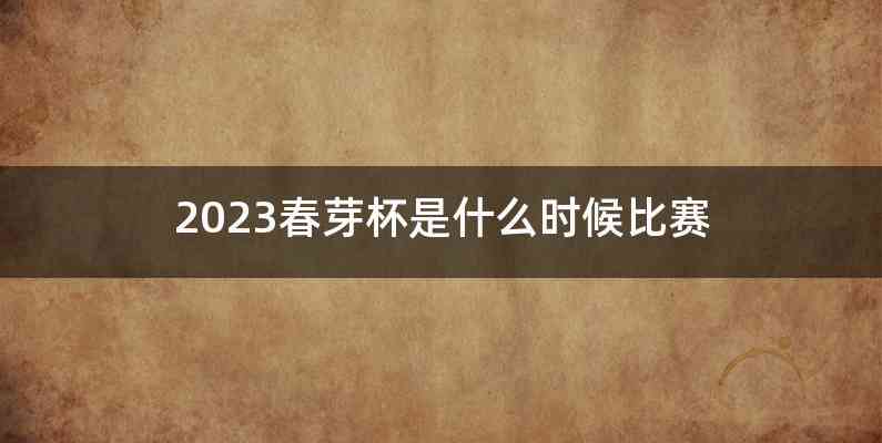 2023春芽杯是什么时候比赛