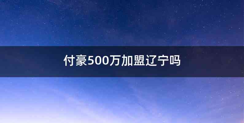 付豪500万加盟辽宁吗