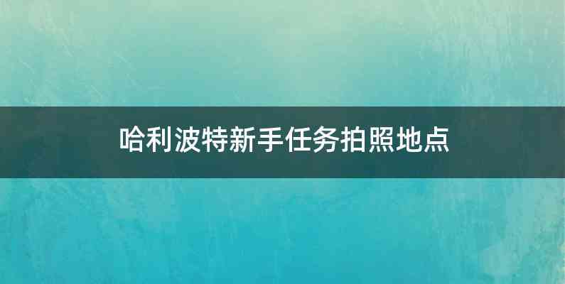 哈利波特新手任务拍照地点