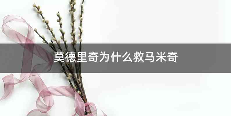 莫德里奇为什么救马米奇