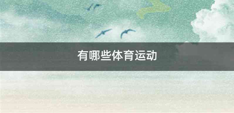 有哪些体育运动