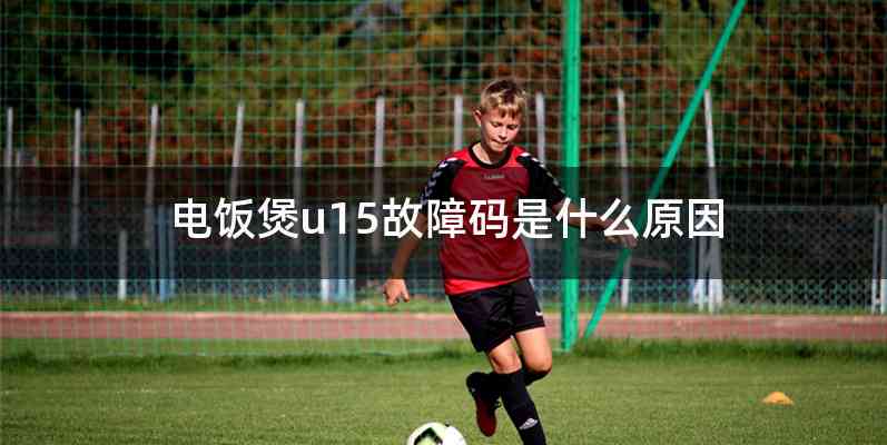 电饭煲u15故障码是什么原因