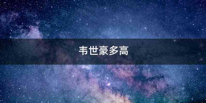 韦世豪多高