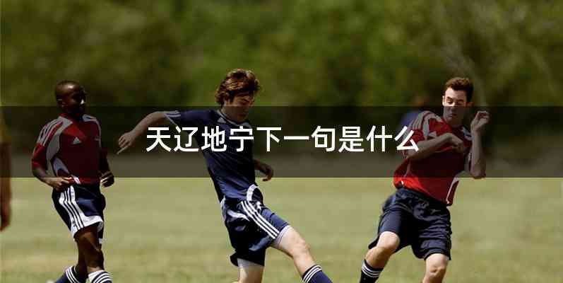 天辽地宁下一句是什么