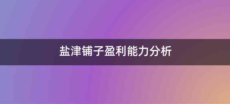 盐津铺子盈利能力分析