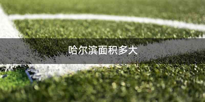 哈尔滨面积多大