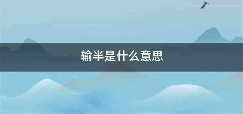 输半是什么意思