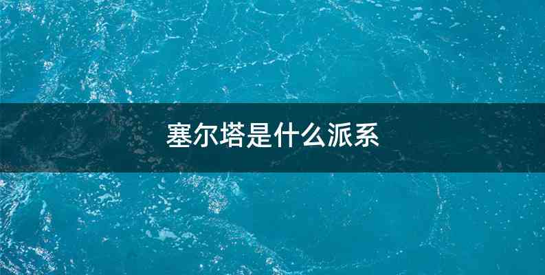 塞尔塔是什么派系