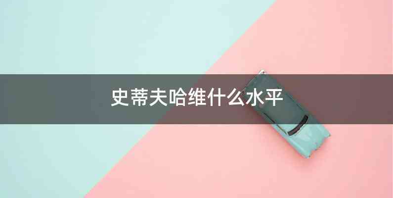 史蒂夫哈维什么水平