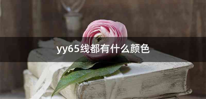 yy65线都有什么颜色