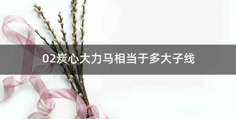 02炭心大力马相当于多大子线