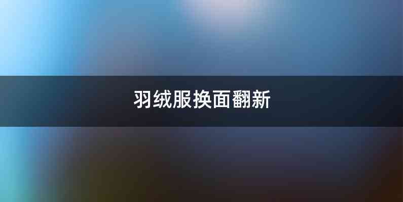 羽绒服换面翻新