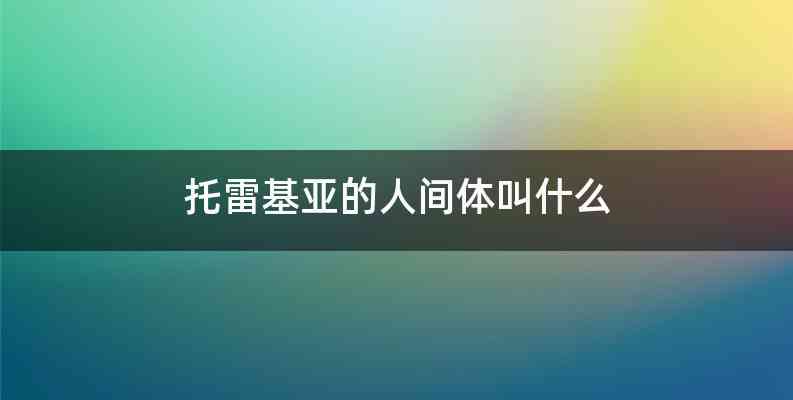 托雷基亚的人间体叫什么
