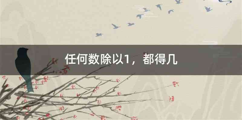 任何数除以1，都得几