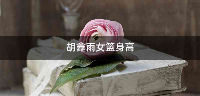 胡鑫雨女篮身高