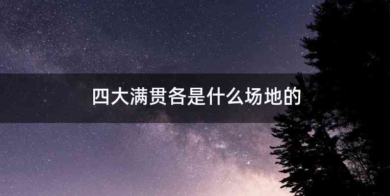 四大满贯各是什么场地的