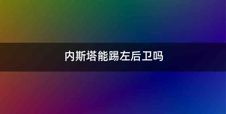 内斯塔能踢左后卫吗