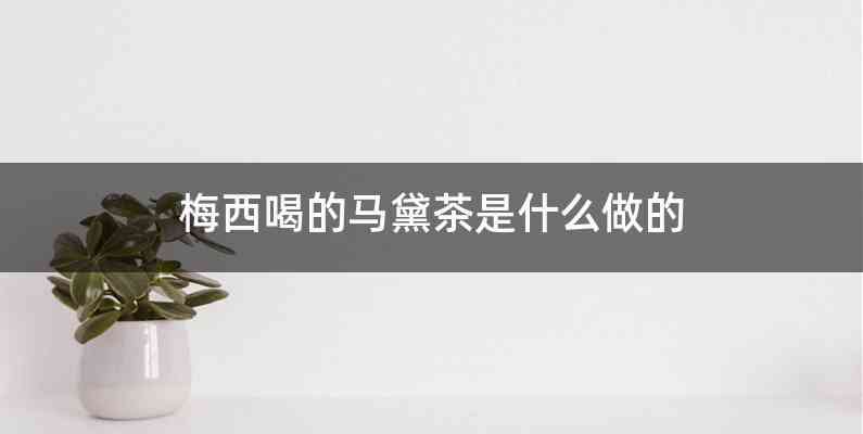 梅西喝的马黛茶是什么做的