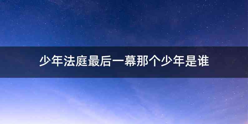少年法庭最后一幕那个少年是谁
