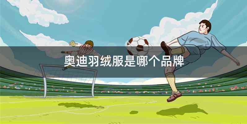 奥迪羽绒服是哪个品牌