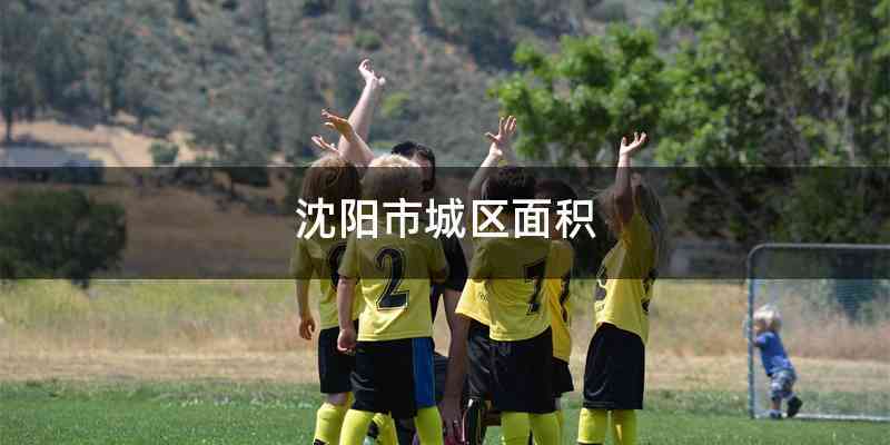 沈阳市城区面积