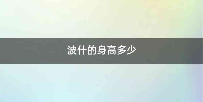 波什的身高多少