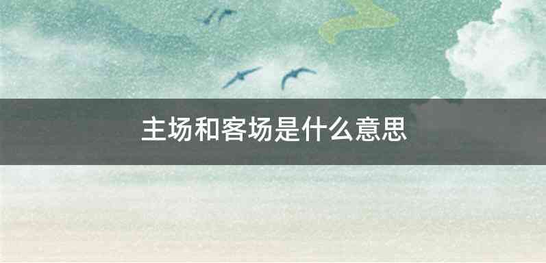主场和客场是什么意思