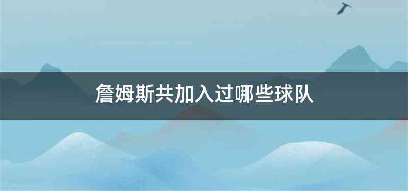 詹姆斯共加入过哪些球队