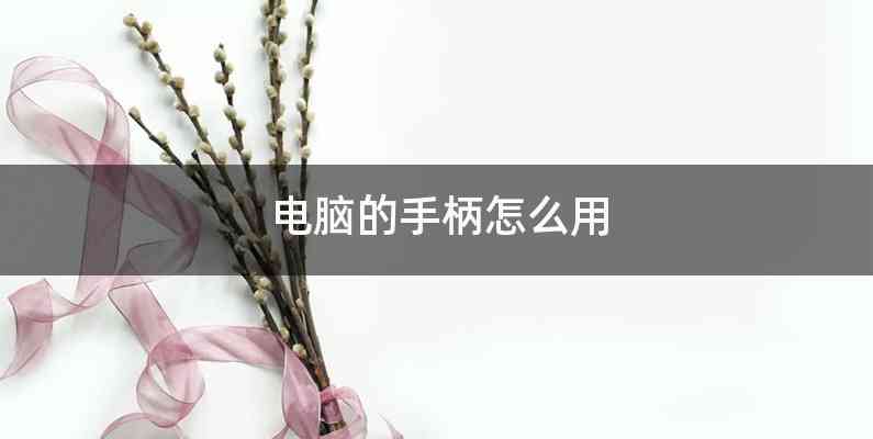 电脑的手柄怎么用